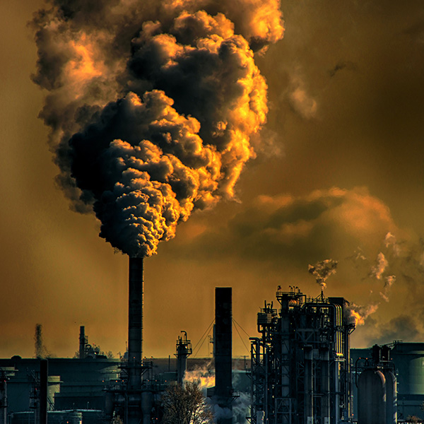 Process Plat Cleaning 1